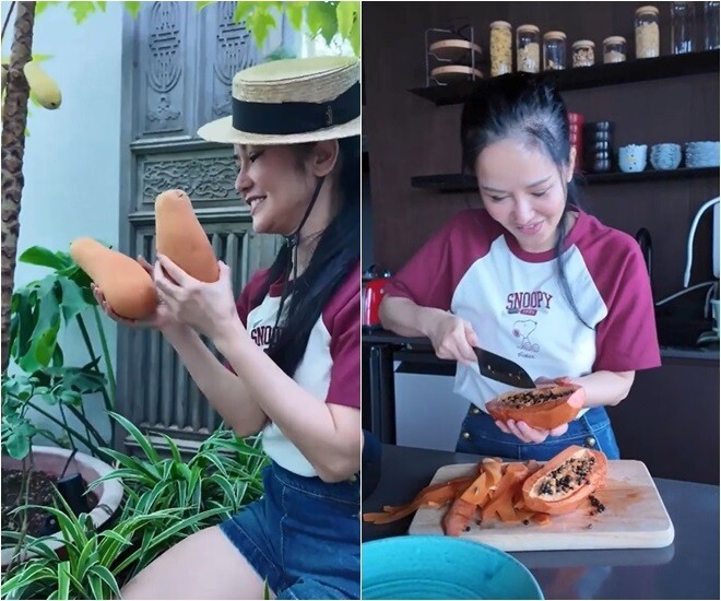 Hành trình vượt bạo bệnh của ca sĩ Hồng Nhung nhờ khu vườn trên cao và không gian 'chữa lành'- Ảnh 6.