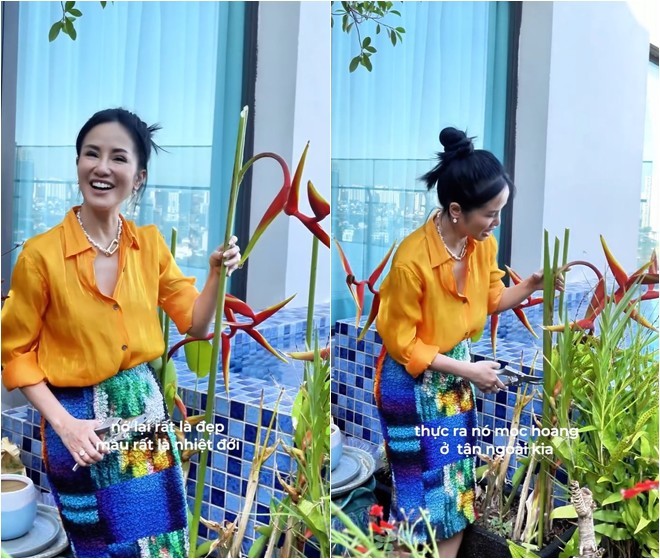 Hành trình vượt bạo bệnh của ca sĩ Hồng Nhung nhờ khu vườn trên cao và không gian 'chữa lành'- Ảnh 14.