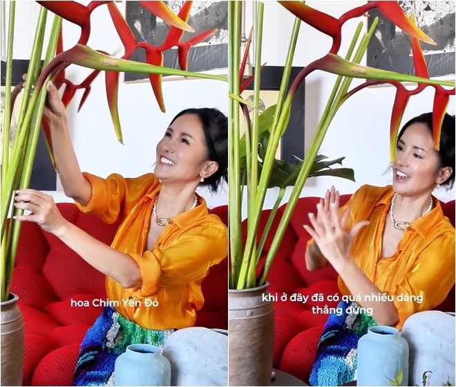 Hành trình vượt bạo bệnh của ca sĩ Hồng Nhung nhờ khu vườn trên cao và không gian 'chữa lành'- Ảnh 17.