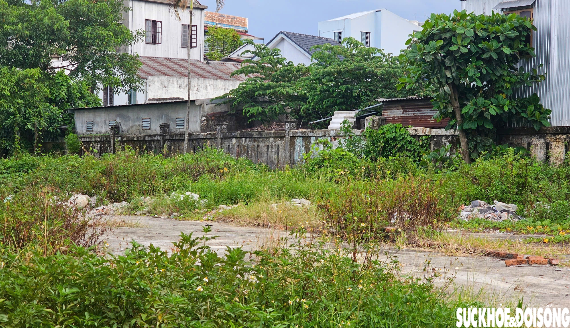 Hoang tàn khu 'đất vàng' giữa lòng thành phố Huế- Ảnh 3.