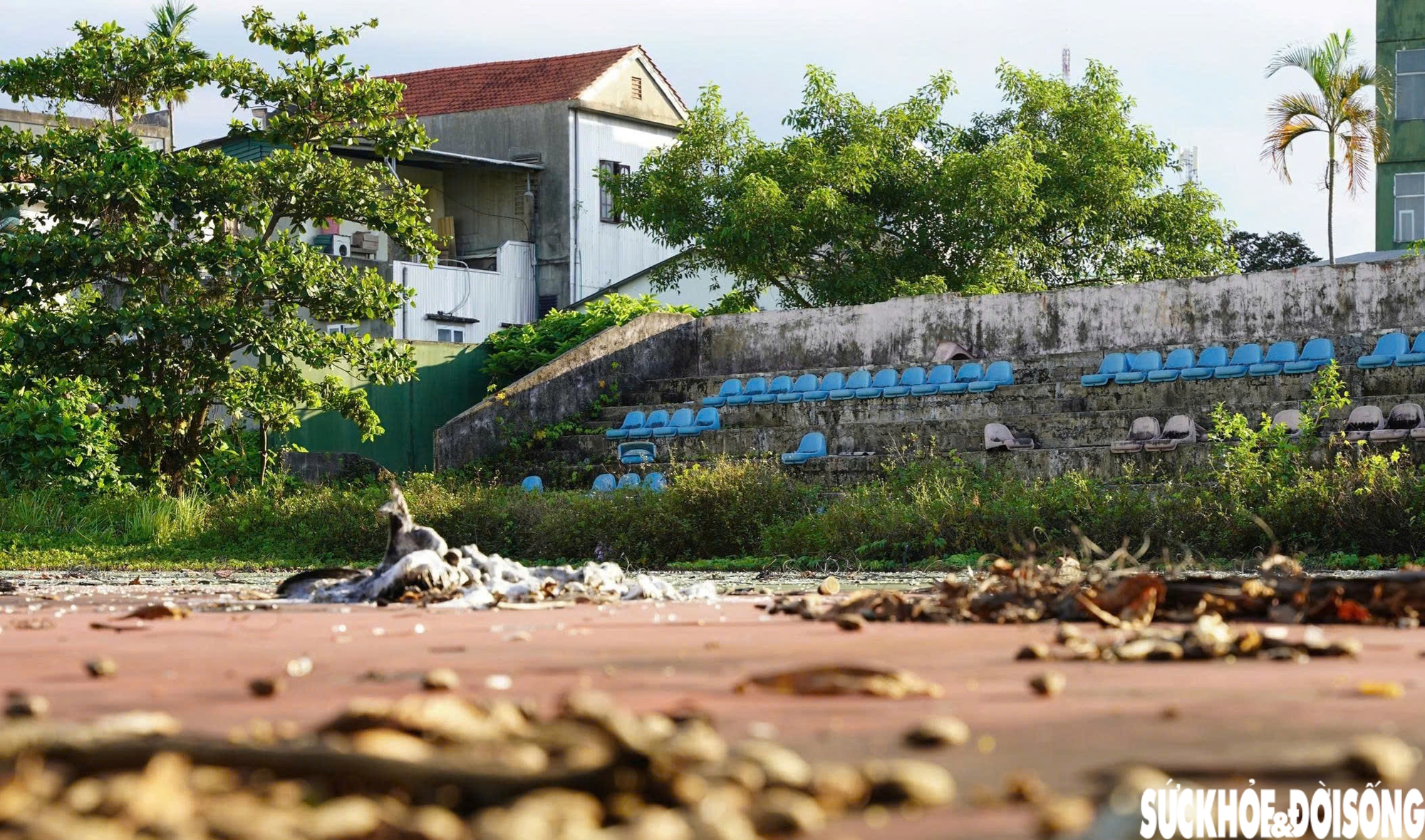 Hoang tàn khu 'đất vàng' giữa lòng thành phố Huế- Ảnh 10.