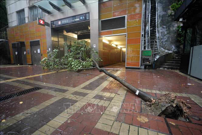 Bão Wipha 'càn quét' Trung Quốc: Giao thông tê liệt, kinh tế thiệt hại nặng- Ảnh 1.