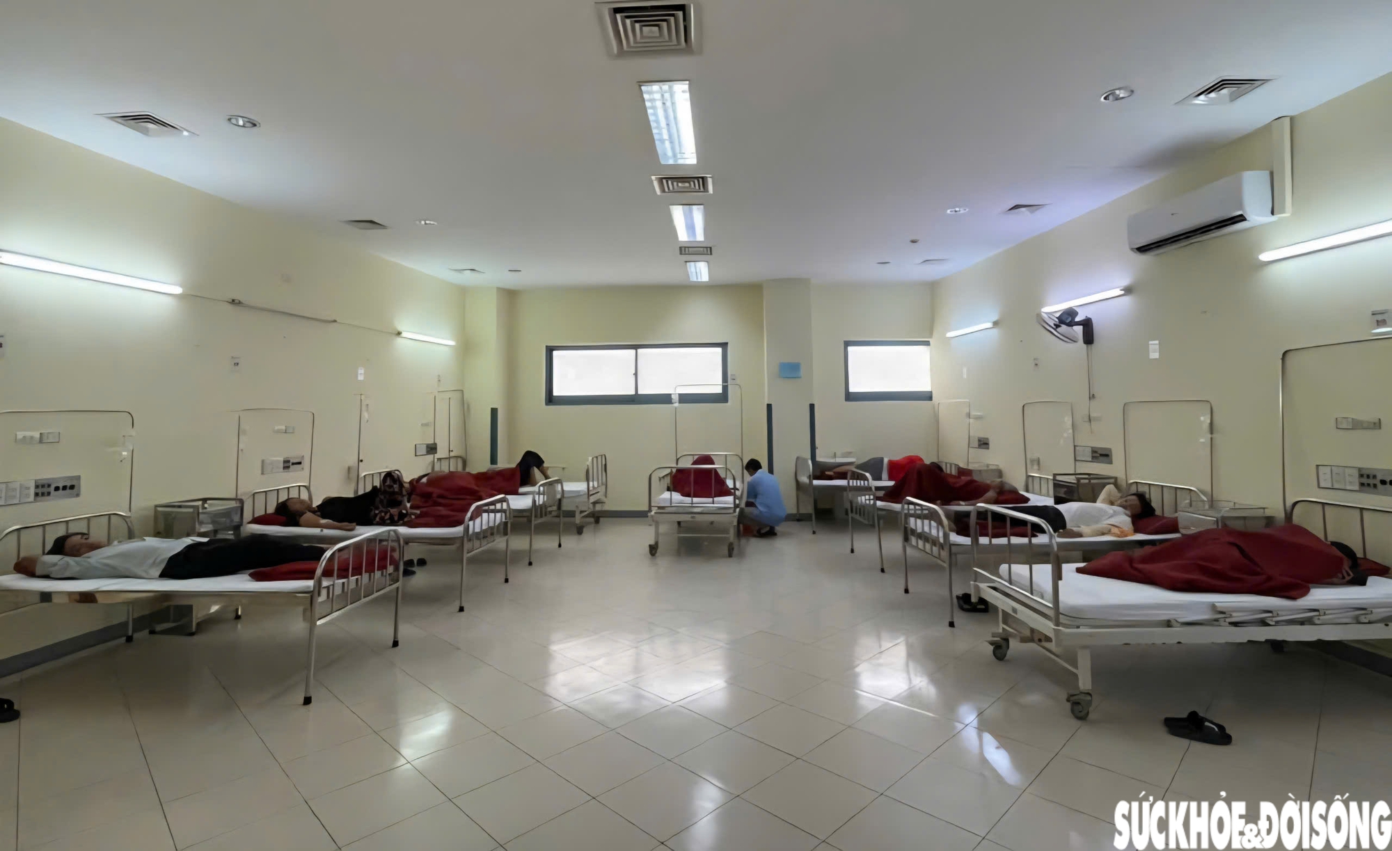 Sau khi ăn giỗ, 9 người nhập viện- Ảnh 1.
