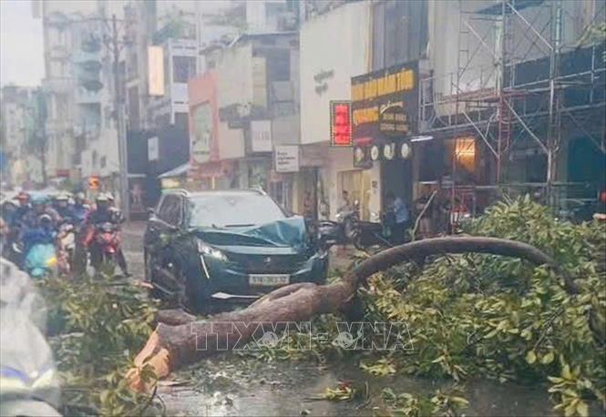 Cây xanh đổ hàng loạt tại Thành phố Hồ Chí Minh sau mưa giông- Ảnh 2.