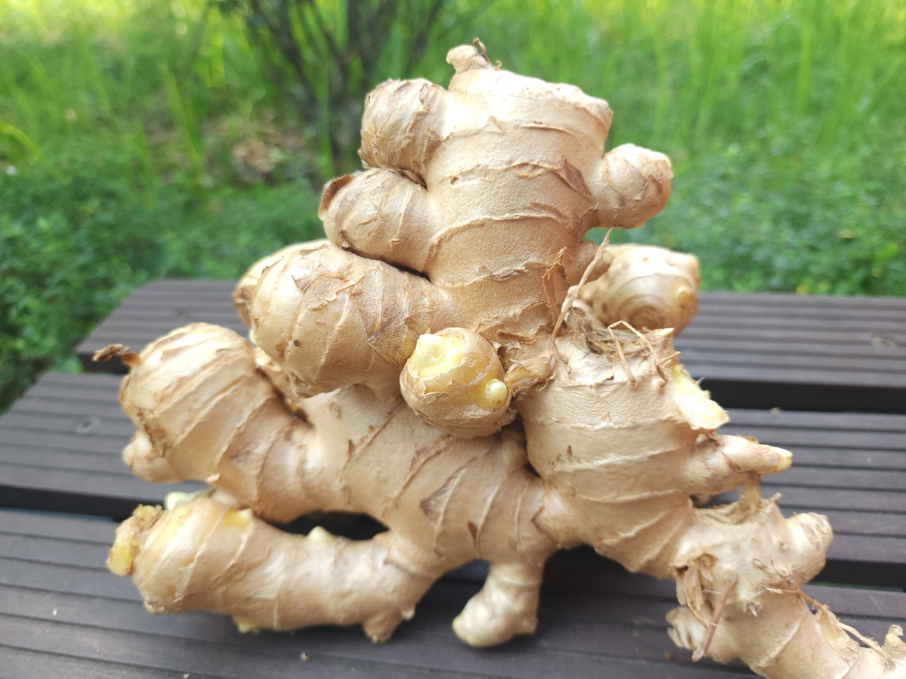 Cách làm tóc mọc nhanh dài bằng nguyên liệu tự nhiên- Ảnh 4.