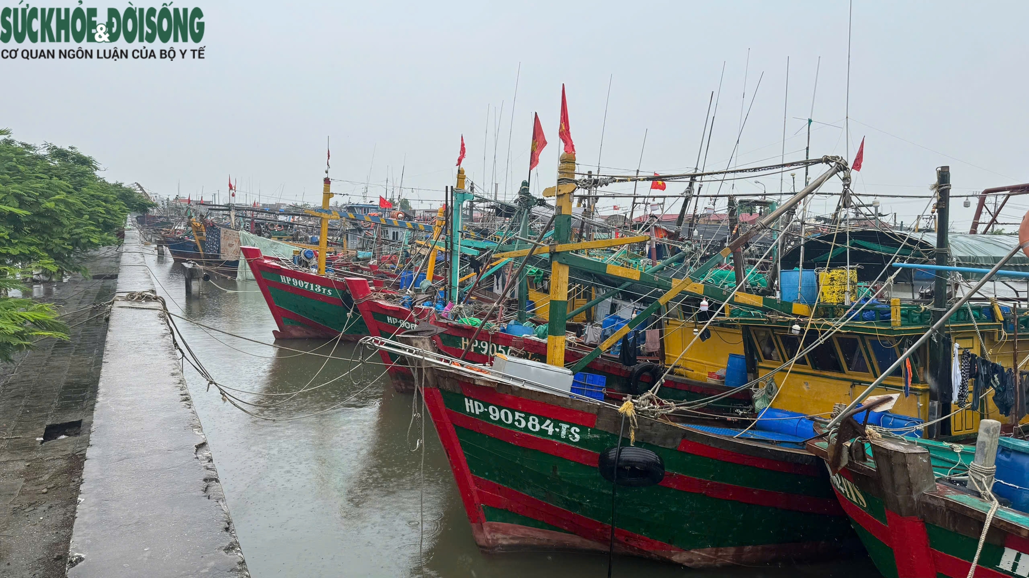 Hải Phòng cấp tập gia cố công trình, bệnh viện, nhà máy ứng phó bão số 3 WIPHA- Ảnh 12. Hải Phòng cấp tập gia cố công trình, bệnh viện, nhà máy ứng phó bão số 3 WIPHA- Ảnh 12.