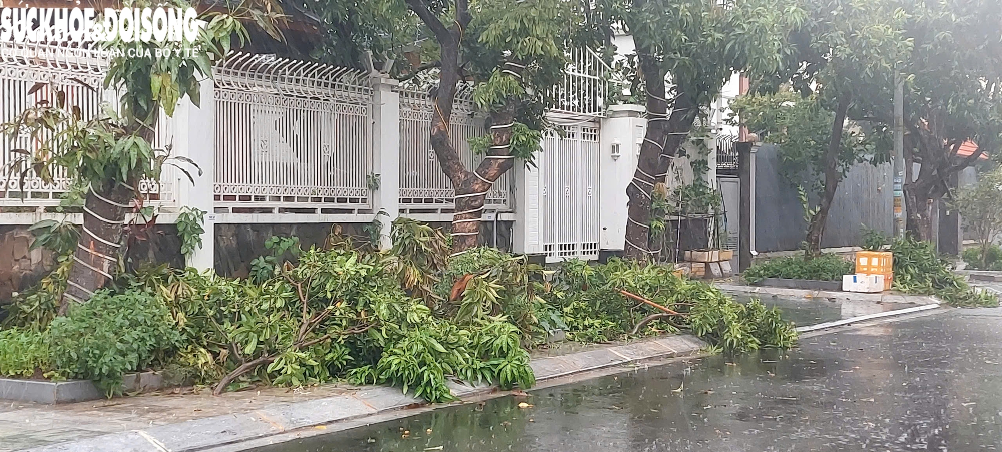 Hình ảnh cuộc sống người dân Quảng Ninh trước khi bão số 3 đổ bộ- Ảnh 18.