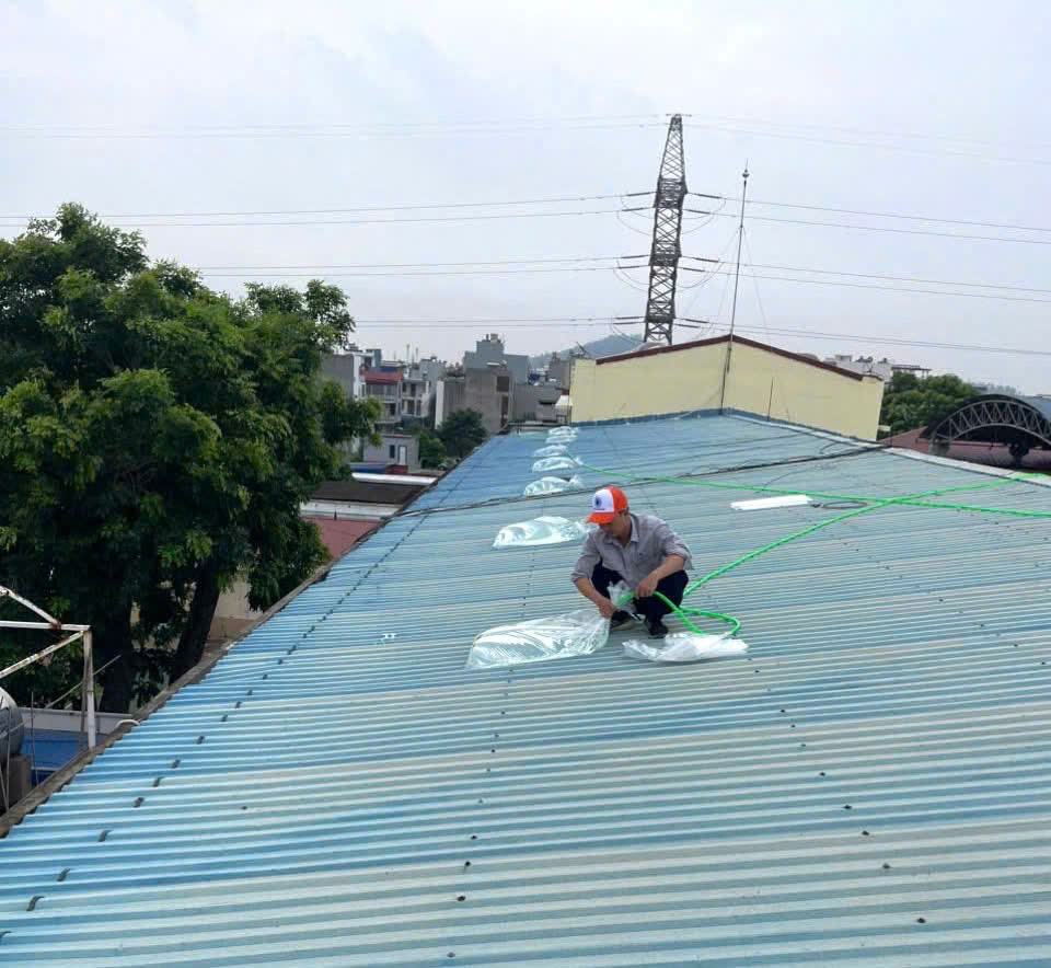 Hải Phòng cấp tập gia cố công trình, bệnh viện, nhà máy ứng phó bão số 3 WIPHA- Ảnh 2. Hải Phòng cấp tập gia cố công trình, bệnh viện, nhà máy ứng phó bão số 3 WIPHA- Ảnh 2.
