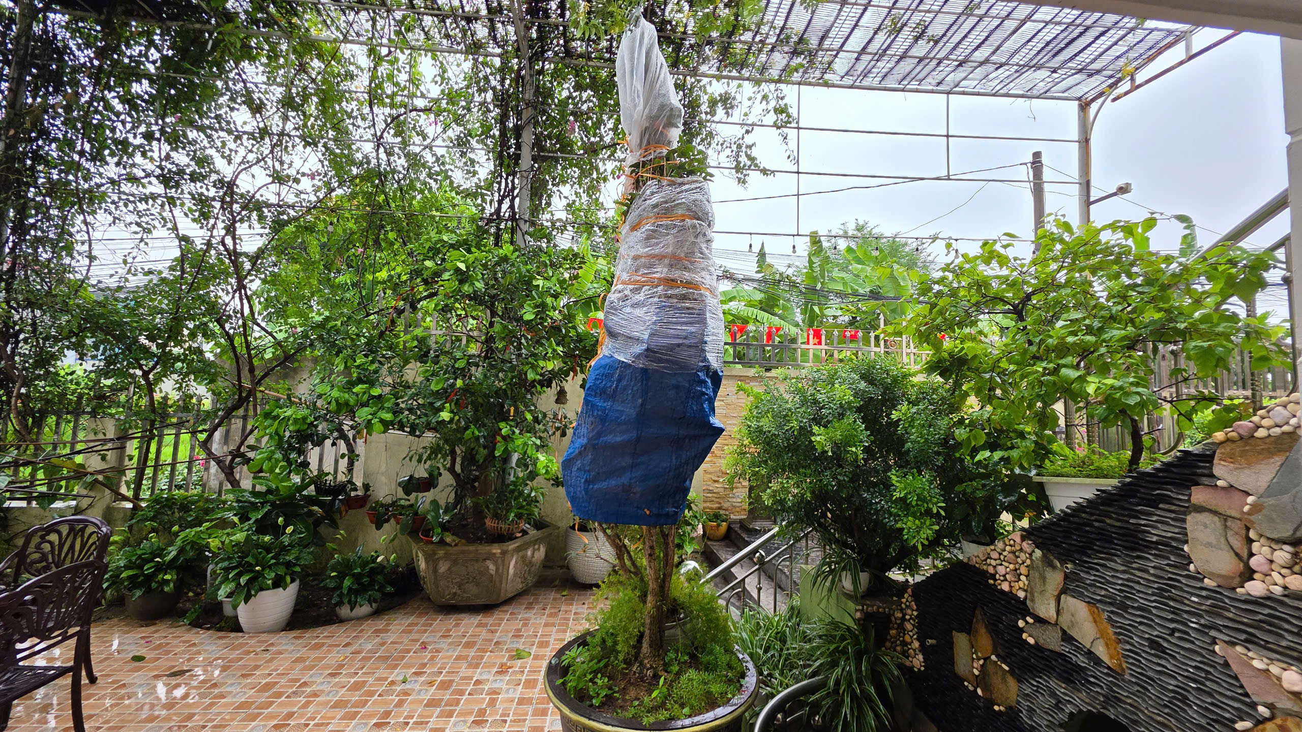 Hải Phòng cấp tập gia cố công trình, bệnh viện, nhà máy ứng phó bão số 3 WIPHA- Ảnh 7. Hải Phòng cấp tập gia cố công trình, bệnh viện, nhà máy ứng phó bão số 3 WIPHA- Ảnh 7.