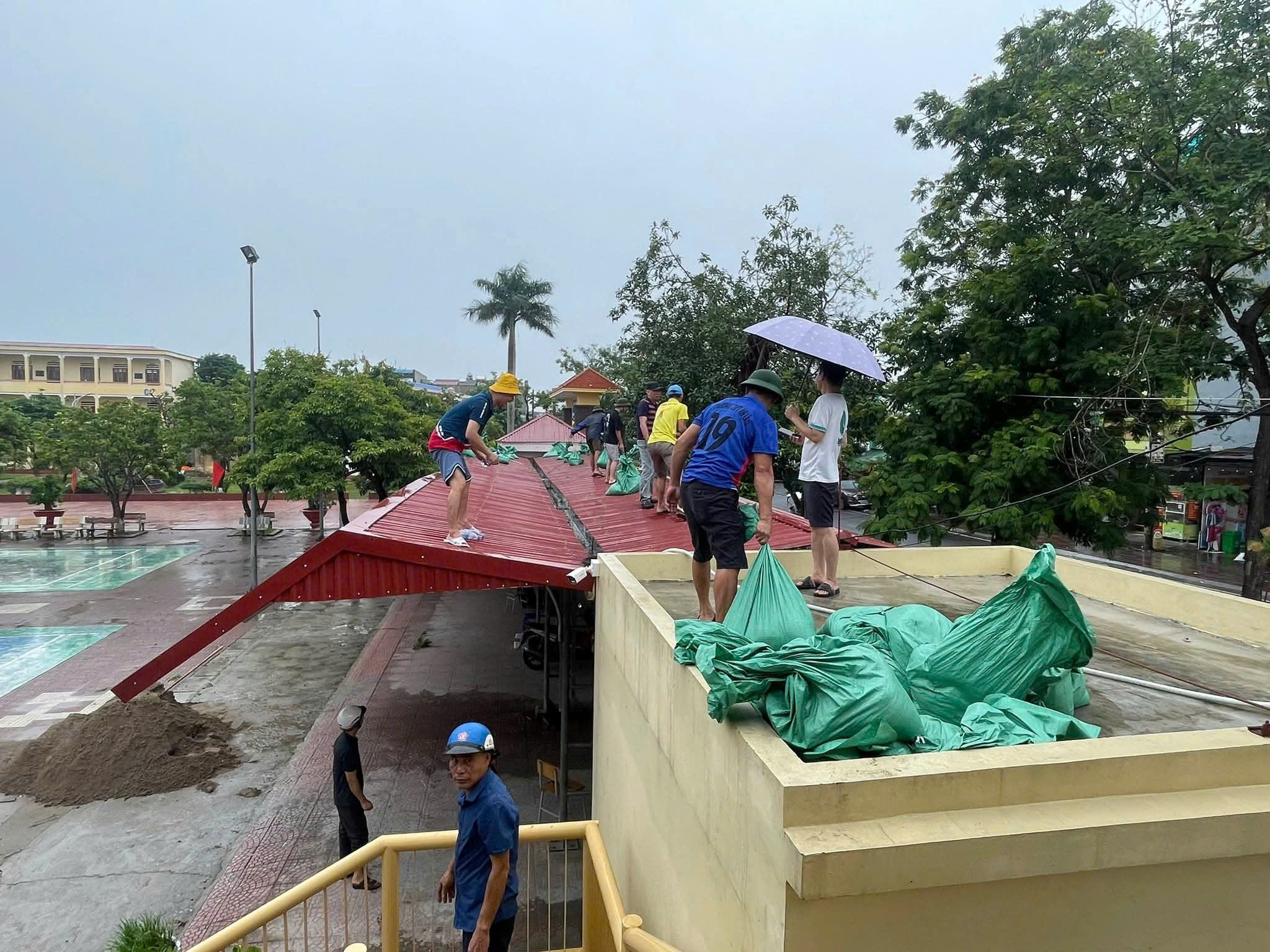 Hải Phòng cấp tập gia cố công trình, bệnh viện, nhà máy ứng phó bão số 3 WIPHA- Ảnh 4. Hải Phòng cấp tập gia cố công trình, bệnh viện, nhà máy ứng phó bão số 3 WIPHA- Ảnh 4.