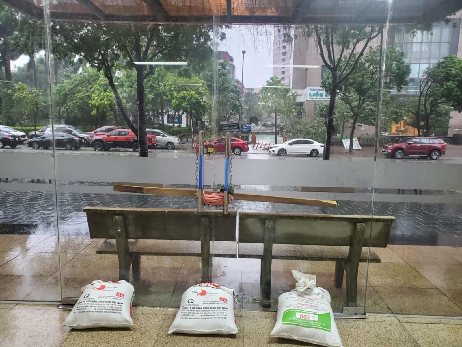 Người dân Thủ đô chằng chống nhà cửa sẵn sàng ứng phó bão Wipha- Ảnh 4. Người dân Thủ đô chằng chống nhà cửa sẵn sàng ứng phó bão Wipha- Ảnh 4.