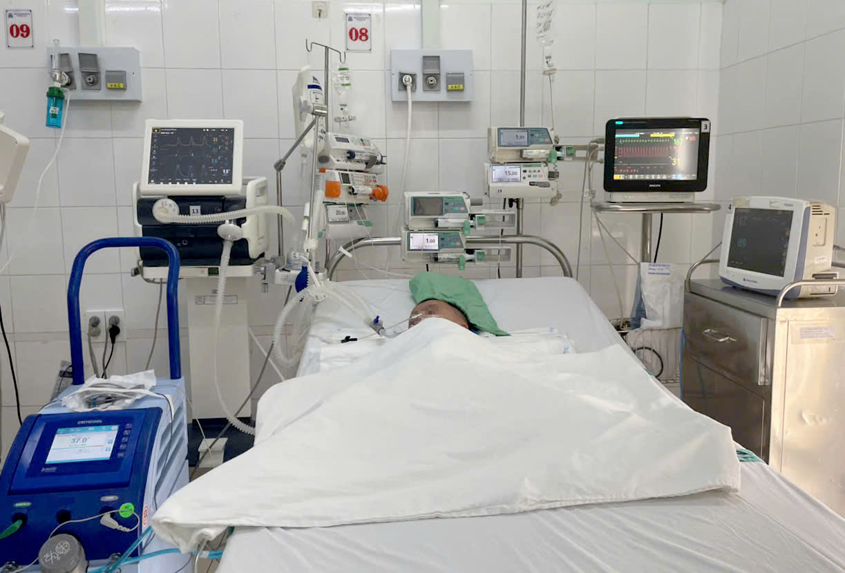 Cứu sống ngoạn mục bé 2 tuổi rơi vào hồ cá koi đuối nước- Ảnh 1. Cứu sống ngoạn mục bé 2 tuổi rơi vào hồ cá koi đuối nước- Ảnh 1.