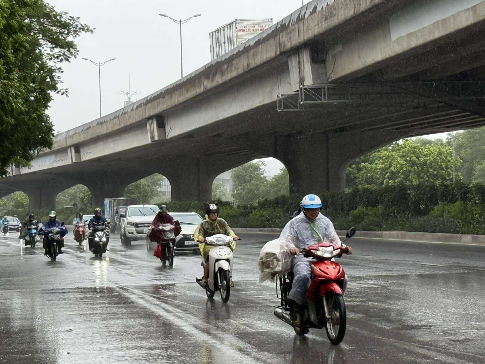 Người dân Thủ đô chằng chống nhà cửa sẵn sàng ứng phó bão Wipha- Ảnh 10. Người dân Thủ đô chằng chống nhà cửa sẵn sàng ứng phó bão Wipha- Ảnh 10.