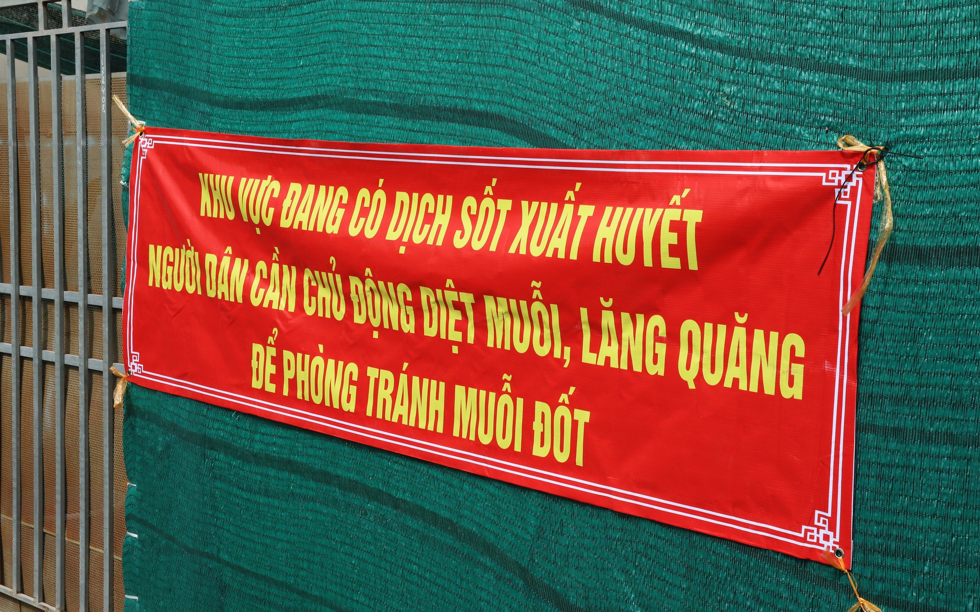 TPHCM triển khai nền tảng số giám sát ca bệnh, chủ động ứng phó sốt xuất huyết