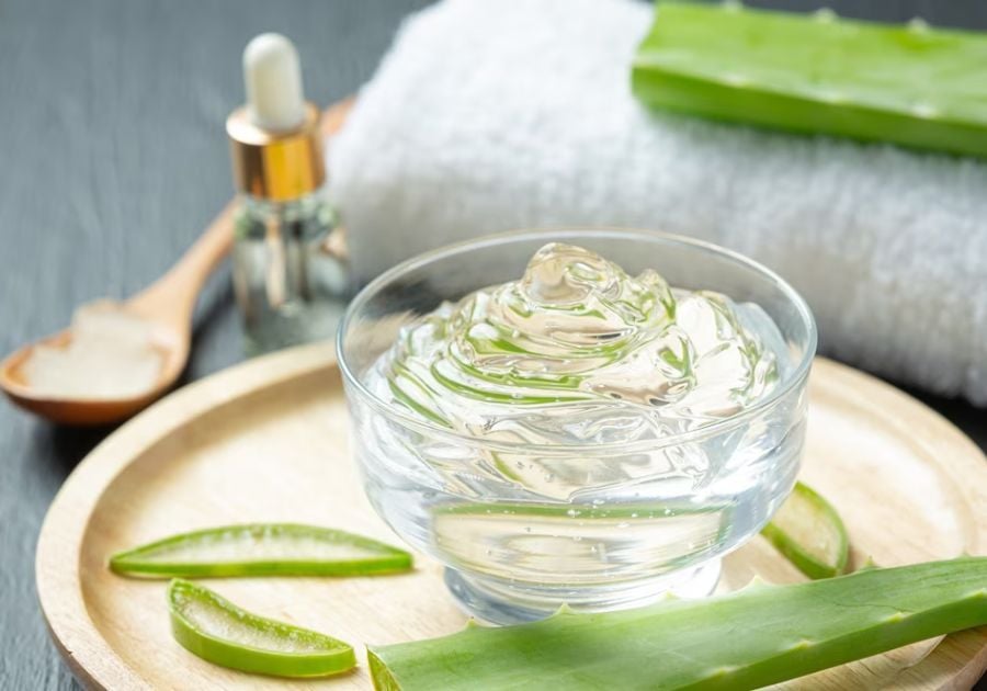 Cách sử dụng lô hội (nha đam) để có làn da sáng và mái tóc khỏe mạnh- Ảnh 1.
