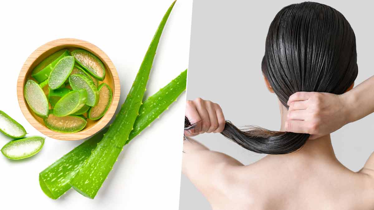 Cách sử dụng lô hội (nha đam) để có làn da sáng và mái tóc khỏe mạnh- Ảnh 2.