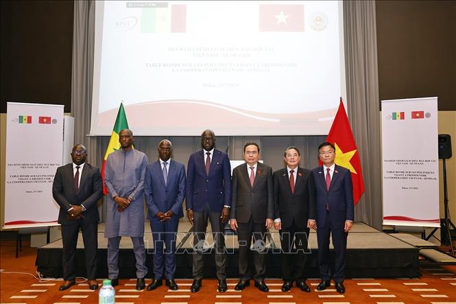 Chủ tịch Quốc hội Trần Thanh Mẫn dự tọa đàm chính sách thúc đẩy hợp tác Việt Nam - Senegal- Ảnh 1.