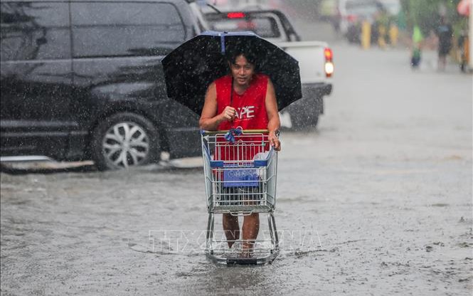 Philippines đóng cửa trường học, dừng hàng loạt chuyến bay khi bão Cỏ may áp sát