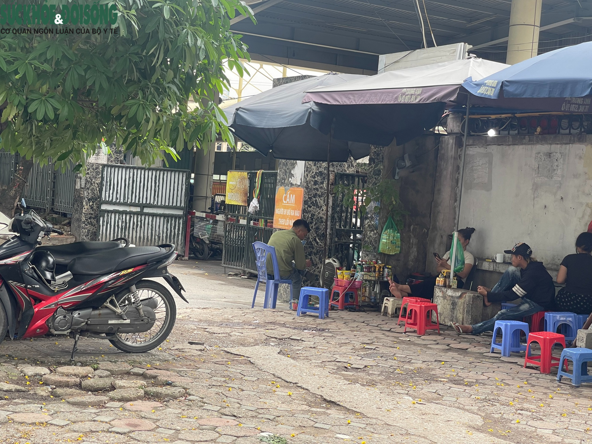 Hà Nội: Vỉa hè nơi cô gái bị người bán trà đá xua đuổi giờ ra sao?- Ảnh 8.