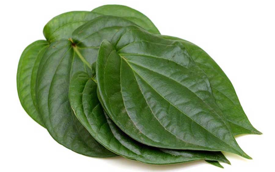 8 tiềm năng chữa bệnh của lá trầu không- Ảnh 3. 6 cách sử dụng lá trầu không phòng và trị bệnh