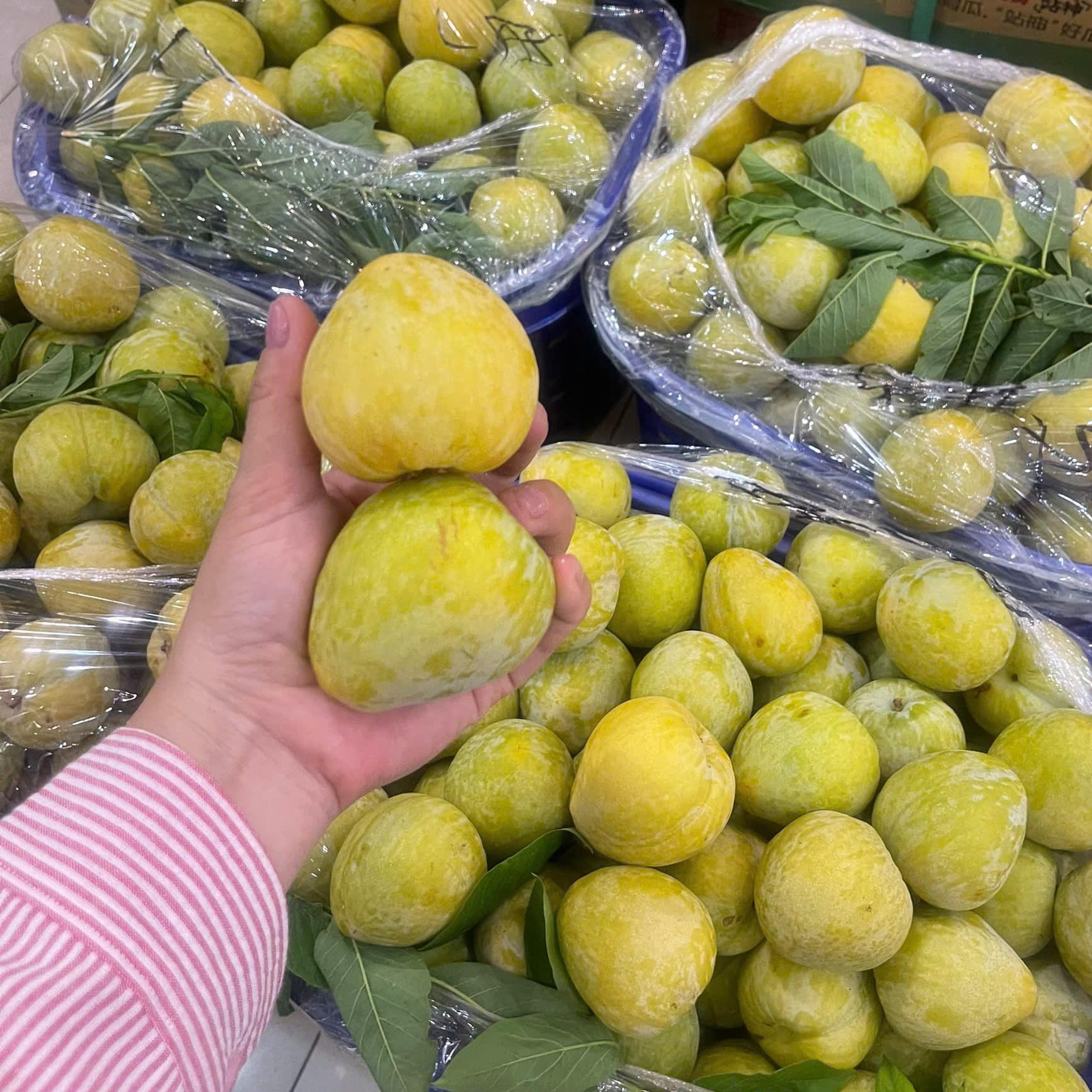 Loạt quả Trung Quốc bán tràn ngập thị trường được người tiêu dùng Việt không tiếc tiền chi- Ảnh 8. Loạt quả Trung Quốc bán tràn ngập thị trường được người tiêu dùng Việt không tiếc tiền chi- Ảnh 8.