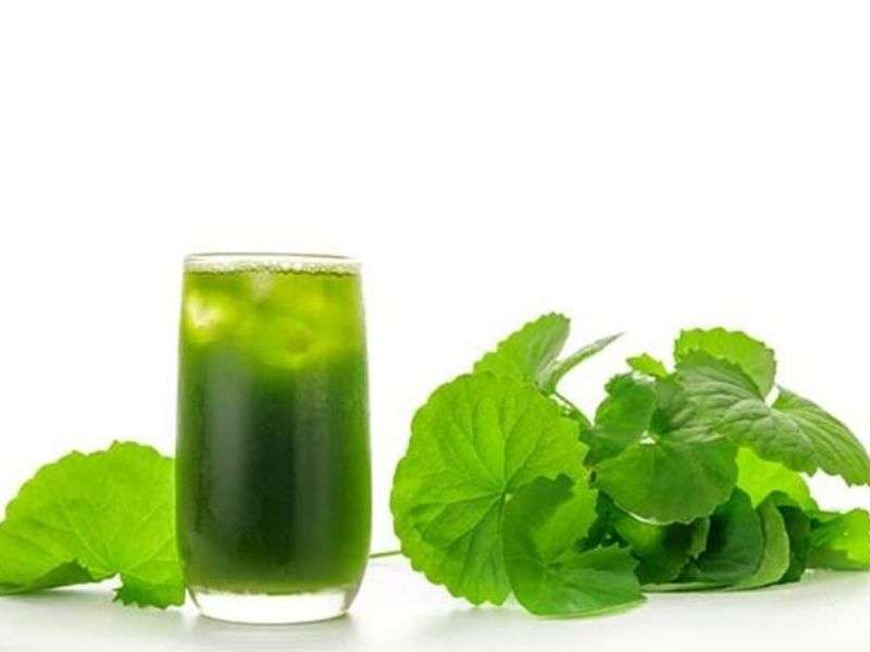 8 loại nước uống phòng và trị say nắng hiệu quả- Ảnh 4.