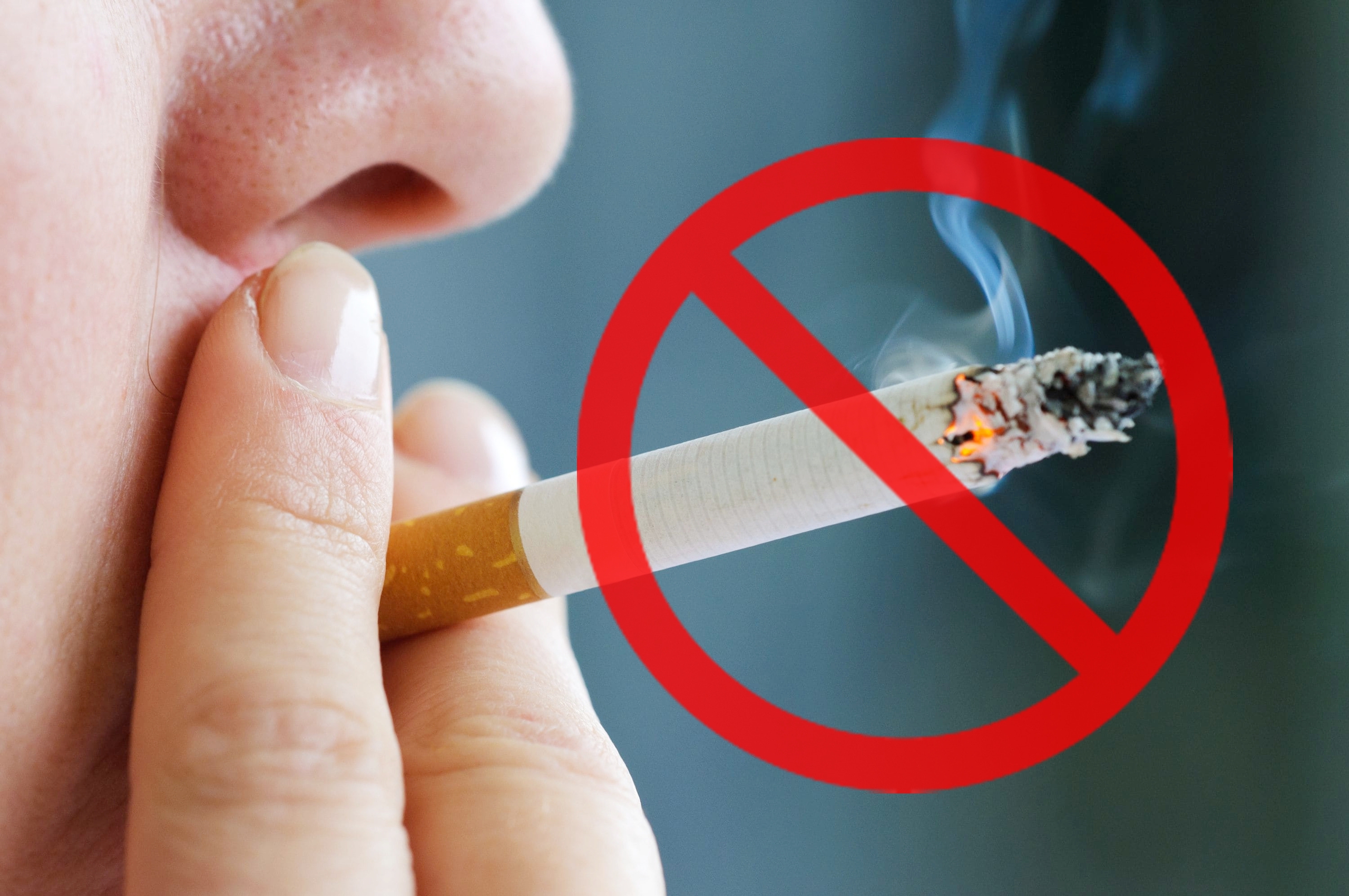 Mỗi năm thế giới có khoảng 8 triệu ca tử vong do các bệnh liên quan đến sử dụng thuốc lá- Ảnh 1.
