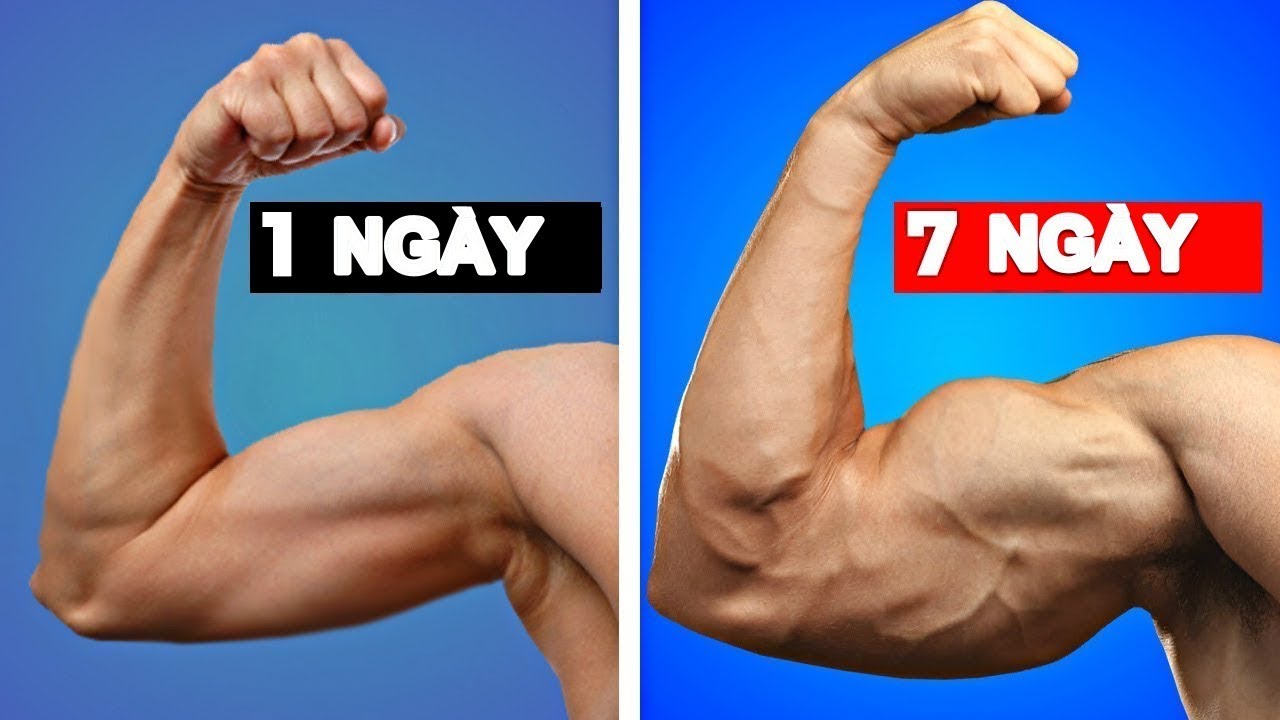Bài tập tăng cơ, giảm mỡ mà không giảm cân- Ảnh 1.