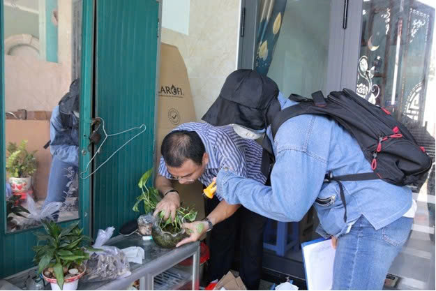 Sốt xuất huyết tăng vọt, TPHCM triển khai hàng loạt biện pháp khẩn- Ảnh 1.