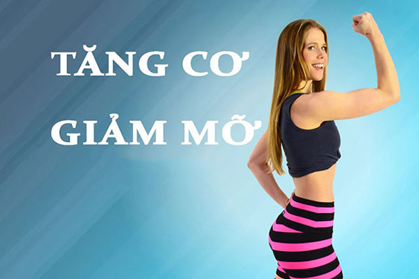 Cách tính calo cho người tập luyện nhẹ để duy trì cân nặng và tăng cơ- Ảnh 1.