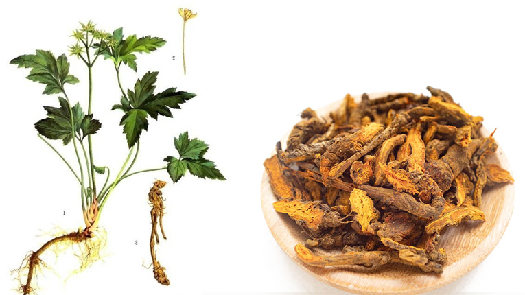 4 bài thuốc làm giảm căng thẳng và lo âu- Ảnh 4. 4 bài thuốc làm giảm căng thẳng và lo âu- Ảnh 4.