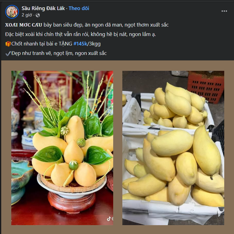 Tiểu thương tiết lộ về nguồn gốc của loại xoài vàng ươm, thơm nức đang bán đầy chợ Việt- Ảnh 4.