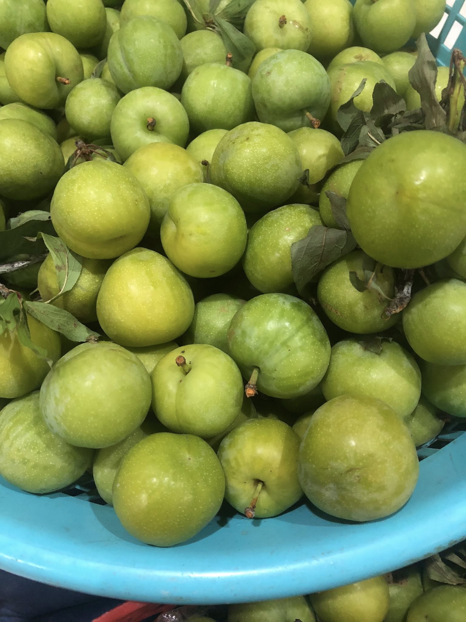 Thực hư về nguồn gốc loại mận róc hạt đang bán đầy thị trường- Ảnh 5. Thực hư về nguồn gốc loại mận róc hạt đang bán đầy thị trường- Ảnh 5.
