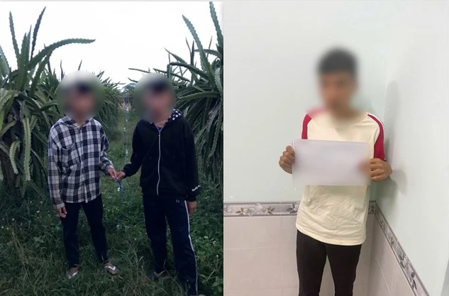 Người trồng thanh long ở Lâm Đồng khổ vì nạn trộm cắp bóng đèn- Ảnh 3. Người trồng thanh long ở Lâm Đồng khổ vì nạn trộm cắp bóng đèn- Ảnh 3.