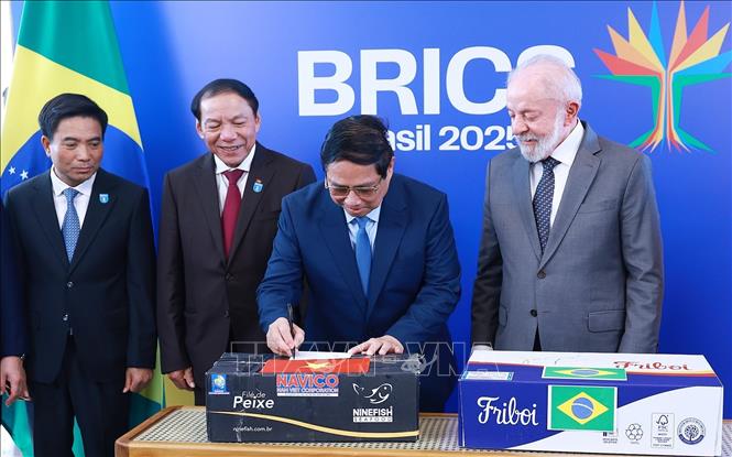Việt Nam - Brazil tăng cường quan hệ song phương tương xứng với khuôn khổ quan hệ Đối tác chiến lược- Ảnh 4. Việt Nam - Brazil tăng cường quan hệ song phương tương xứng với khuôn khổ quan hệ Đối tác chiến lược- Ảnh 4.