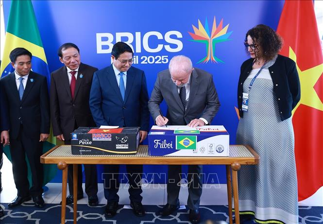 Việt Nam - Brazil tăng cường quan hệ song phương tương xứng với khuôn khổ quan hệ Đối tác chiến lược- Ảnh 5. Việt Nam - Brazil tăng cường quan hệ song phương tương xứng với khuôn khổ quan hệ Đối tác chiến lược- Ảnh 5.