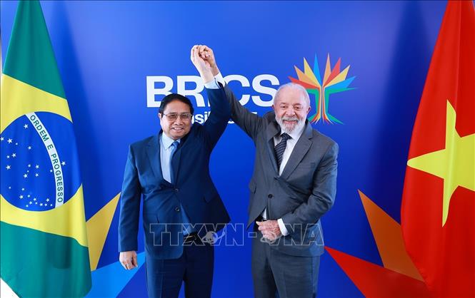 Việt Nam - Brazil tăng cường quan hệ song phương tương xứng với khuôn khổ quan hệ Đối tác chiến lược- Ảnh 1. Việt Nam - Brazil tăng cường quan hệ song phương tương xứng với khuôn khổ quan hệ Đối tác chiến lược- Ảnh 1.