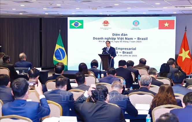 Thủ tướng Phạm Minh Chính dự Diễn đàn doanh nghiệp Việt Nam - Brazil- Ảnh 2. Thủ tướng Phạm Minh Chính dự Diễn đàn doanh nghiệp Việt Nam - Brazil- Ảnh 2.