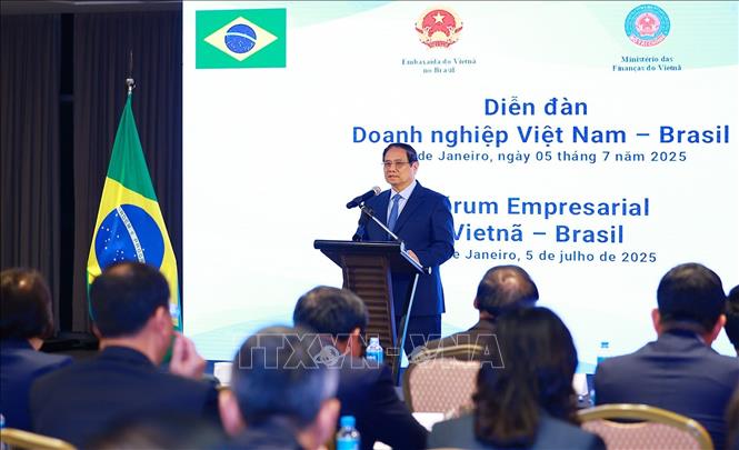 Thủ tướng Phạm Minh Chính dự Diễn đàn doanh nghiệp Việt Nam - Brazil- Ảnh 4. Thủ tướng Phạm Minh Chính dự Diễn đàn doanh nghiệp Việt Nam - Brazil- Ảnh 4.