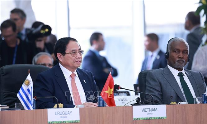 Thủ tướng Phạm Minh Chính nêu 5 đề xuất vì môi trường, y tế toàn cầu tại Hội nghị BRICS- Ảnh 2.