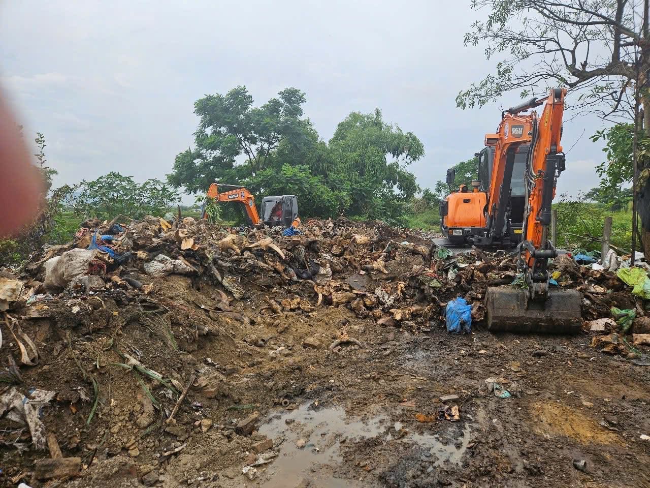 Xử lý điểm tập kết phế phẩm động vật trái phép gây ô nhiễm gần Quốc lộ 46- Ảnh 2. Xử lý điểm tập kết phế phẩm động vật trái phép gây ô nhiễm gần Quốc lộ 46- Ảnh 2.