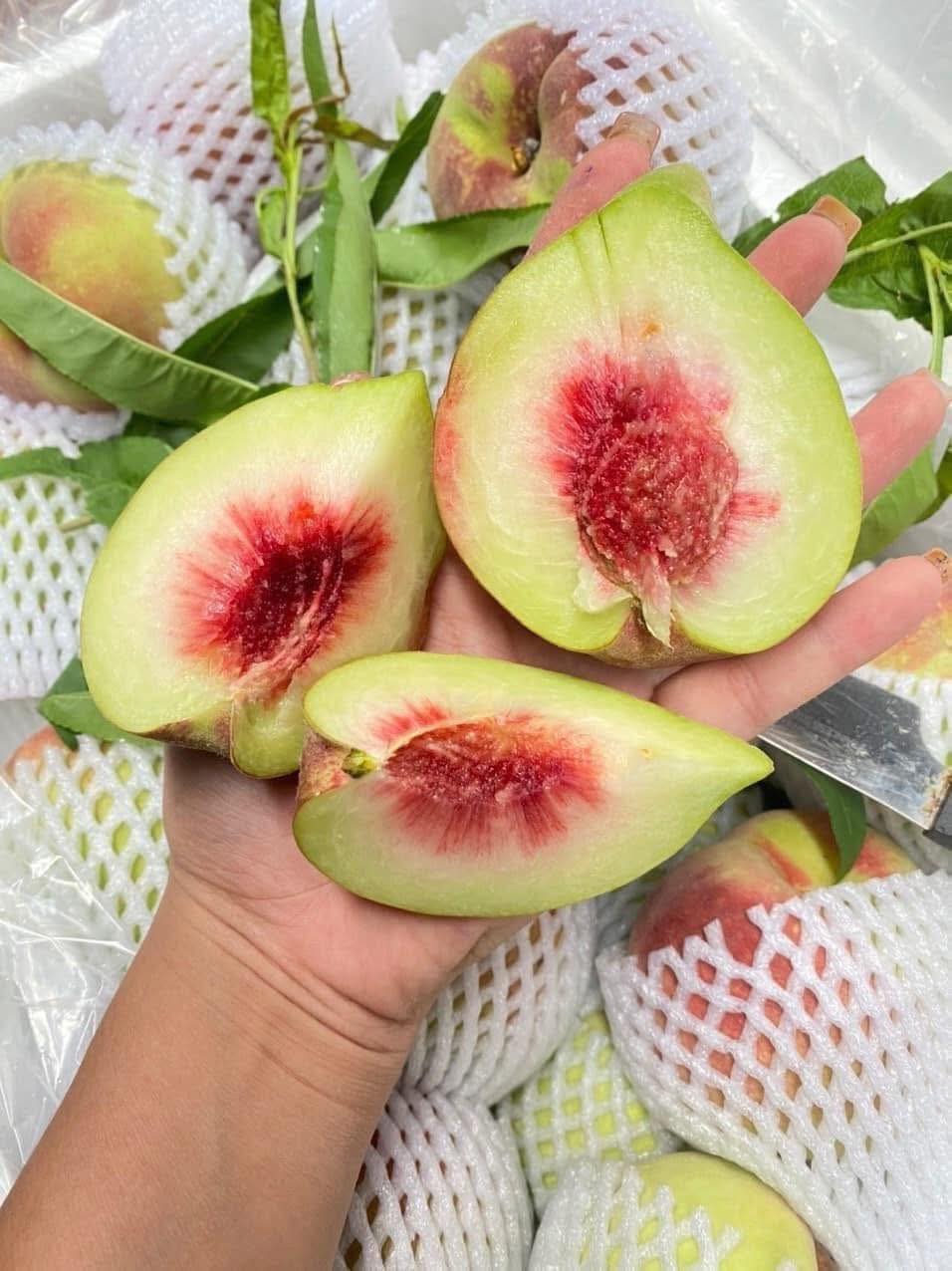 Đào mỏ quạ vào mùa bán đầy thị trường, tiểu thương chỉ cách phân biệt hàng Việt Nam và Trung Quốc- Ảnh 10. Đào mỏ quạ vào mùa bán đầy thị trường, tiểu thương chỉ cách phân biệt hàng Việt Nam và Trung Quốc- Ảnh 10.