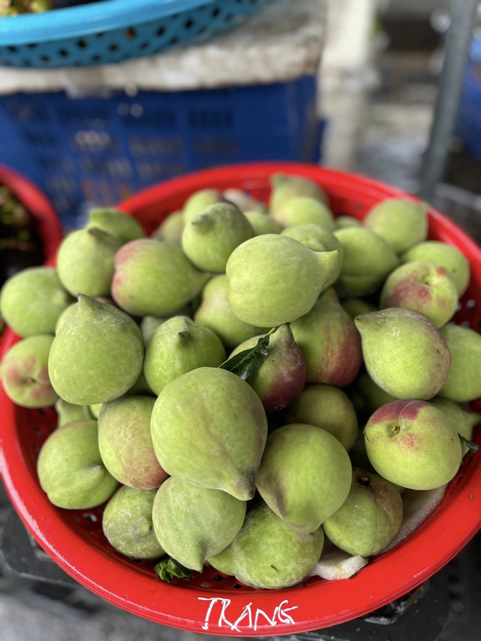 Đào mỏ quạ vào mùa bán đầy thị trường, tiểu thương chỉ cách phân biệt hàng Việt Nam và Trung Quốc- Ảnh 8. Đào mỏ quạ vào mùa bán đầy thị trường, tiểu thương chỉ cách phân biệt hàng Việt Nam và Trung Quốc- Ảnh 8.