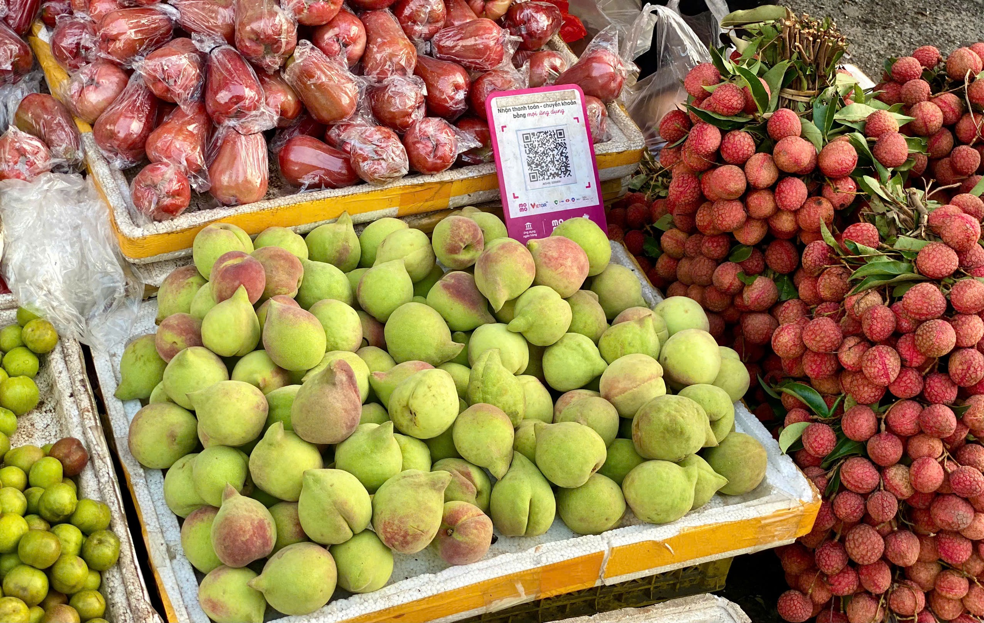 Đào mỏ quạ vào mùa bán đầy thị trường, tiểu thương chỉ cách phân biệt hàng Việt Nam và Trung Quốc- Ảnh 5. Đào mỏ quạ vào mùa bán đầy thị trường, tiểu thương chỉ cách phân biệt hàng Việt Nam và Trung Quốc- Ảnh 5.