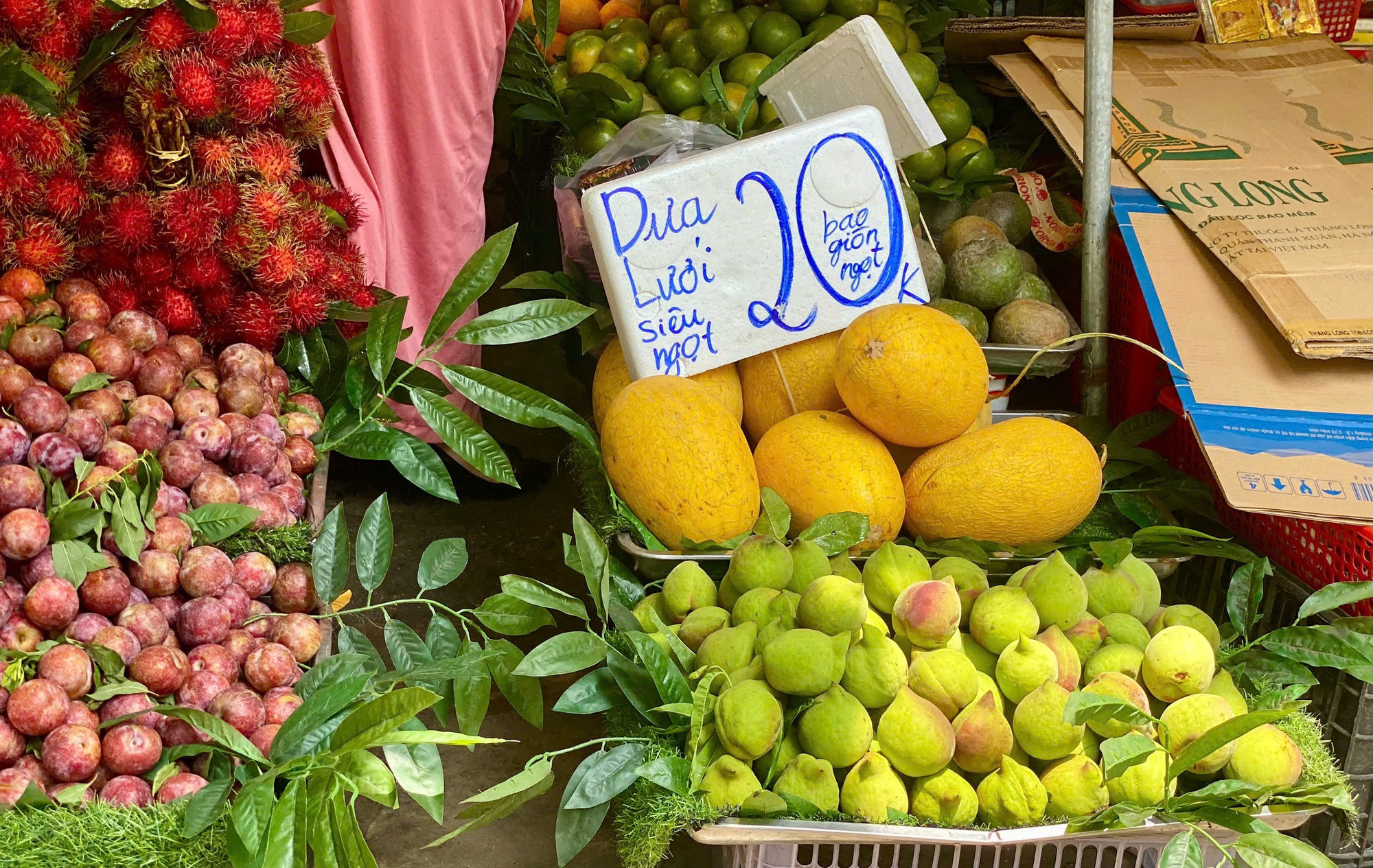 Đào mỏ quạ vào mùa bán đầy thị trường, tiểu thương chỉ cách phân biệt hàng Việt Nam và Trung Quốc- Ảnh 4. Đào mỏ quạ vào mùa bán đầy thị trường, tiểu thương chỉ cách phân biệt hàng Việt Nam và Trung Quốc- Ảnh 4.