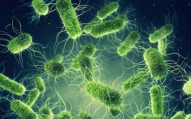 Vì sao trẻ em và người lớn cần uống vaccine tả?- Ảnh 3.