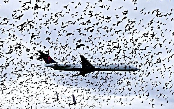 Delay chuyến bay - ‘điểm trừ" lớn của hàng không năm 2025- Ảnh 1. Delay chuyến bay - ‘điểm trừ" lớn của hàng không năm 2025- Ảnh 1.