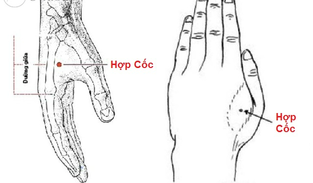 Sáng ngủ dậy bấm huyệt này cơ thể sẽ khỏe mạnh cường tráng- Ảnh 2. Sáng ngủ dậy bấm huyệt này cơ thể sẽ khỏe mạnh cường tráng- Ảnh 2.