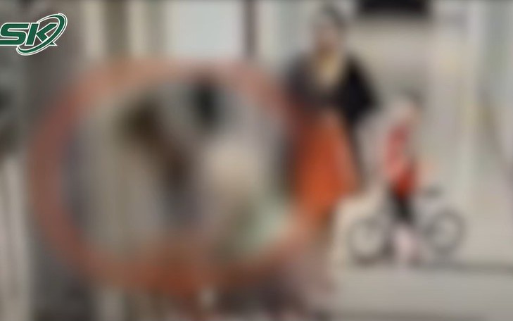 Cô gái trẻ bị đánh dã man ngay sảnh chung cư, camera ghi lại chi tiết phẫn nộ