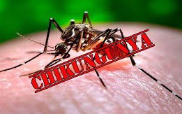 PGS.TS Trần Đắc Phu: Không chủ quan với bệnh Chikungunya, nhưng cũng không quá hoang mang